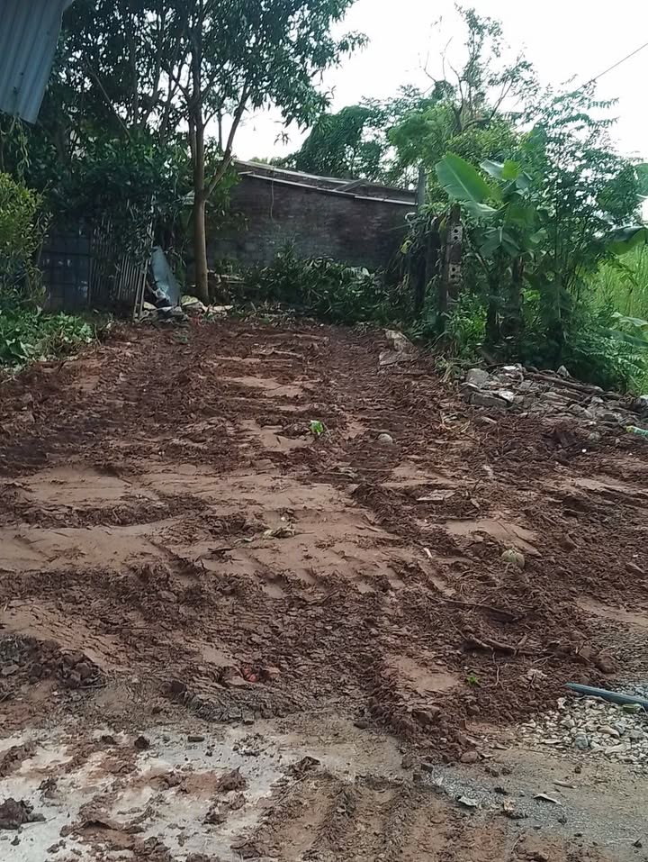 Đất nền phố An Lợi, Hưng Yên 95m² giá 2.7 tỷ - Lô góc 2 mặt tiền, tiện ích đầy đủ!