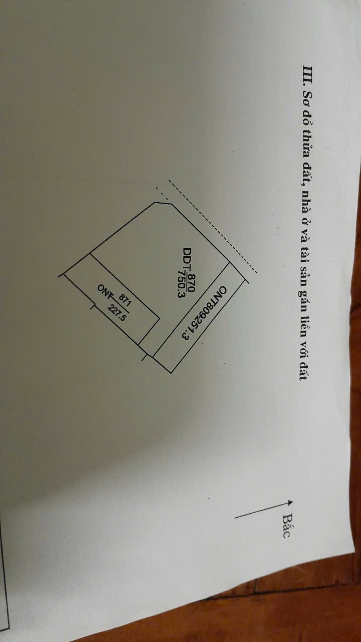Bán gấp nhà mặt tiền thôn Hòa Bình, xã Xuân Thiên, huyện Thọ Xuân, 200m² - Địa thế đắc địa, kinh doanh sinh lời!