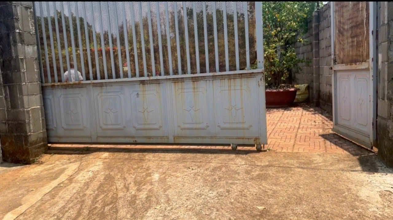 Nhà vườn cấp 4 cho thuê tại phường Tân Lợi - Giá chỉ 2.5 triệu/tháng!