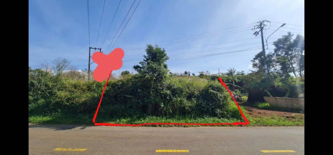 Đất nền mặt tiền Lý Thái Tổ, Đức Trọng 540m² giá 86.4 tỷ - Bán gấp để trả nợ ngân hàng!