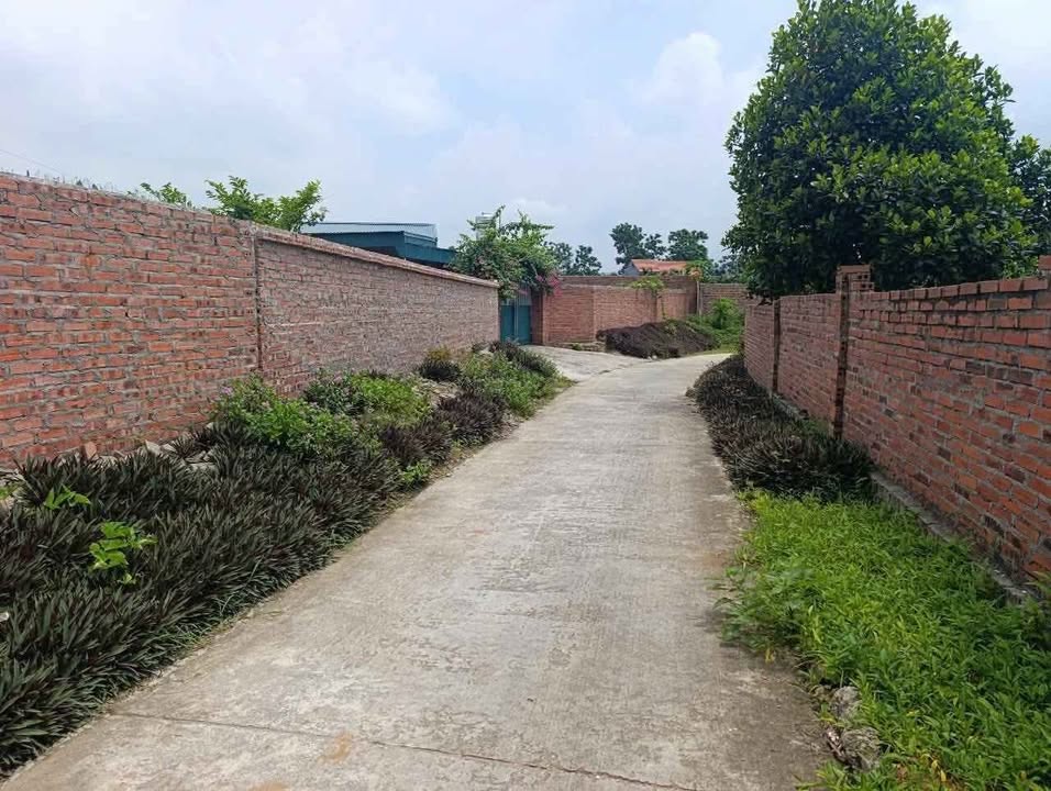 Lô đất ở đô thị 108m² giá chỉ 4xx triệu - Cơ hội đầu tư tại Đông Triều!