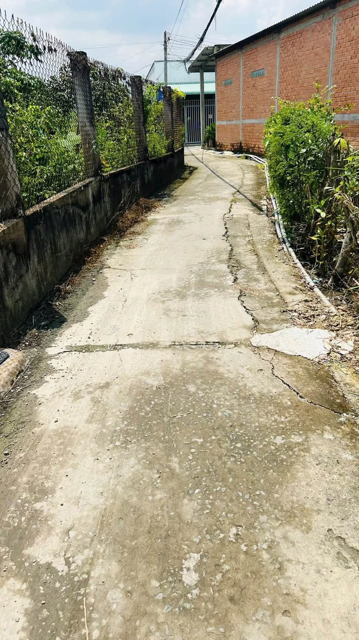 Đất thổ cư 250m² + 489m² đất vườn tại Nhơn Thạnh Trung - Chỉ 1.5 tỷ, thương lượng ngay!