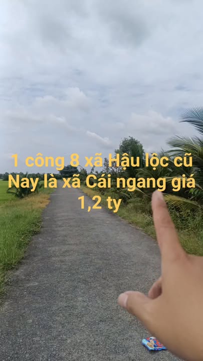 Đất vườn Hậu Lộc 1800m² giá 1.2 tỷ - Mặt tiền 22m, đường nhựa rộng rãi!