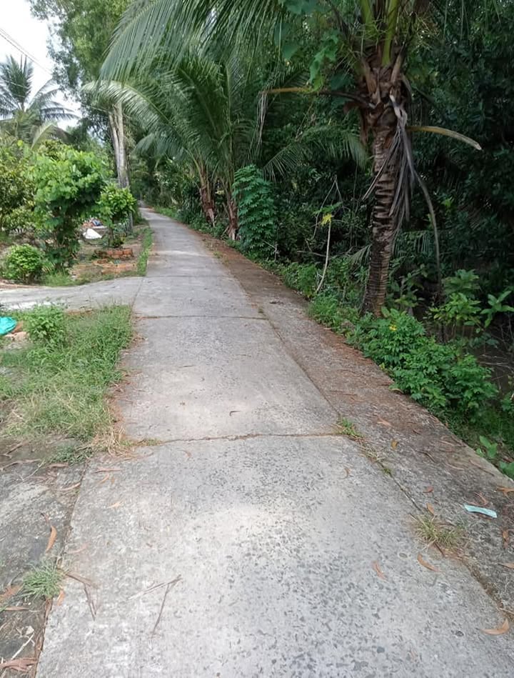 Đất Farm 20.000m² tại Tân An Hội, Mang Thít chỉ 8.2 tỷ - Tiềm năng đầu tư lớn!