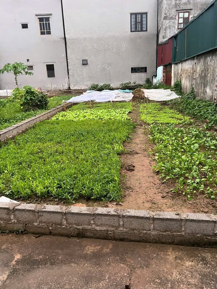 Đất Ba Lăng Dũng Tiến 61m² giá 1.59 tỷ - Sổ đỏ chính chủ, nở hậu đón tài lộc!