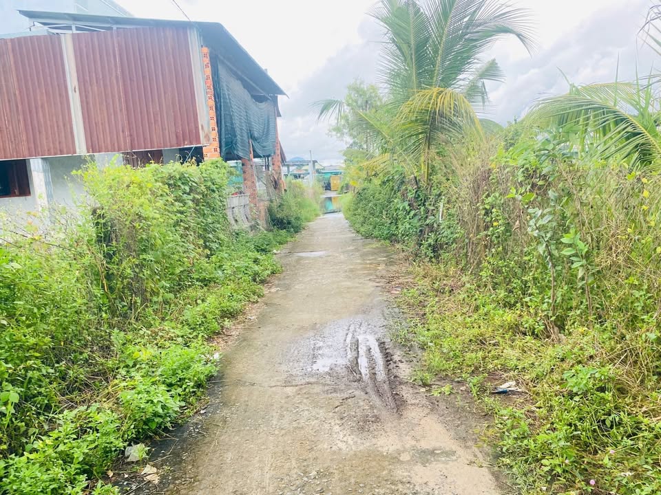 Đất ven biển Lý Thái Tổ, Tân Hải 433m² giá 1.8 tỷ - Tiềm năng đầu tư lớn!