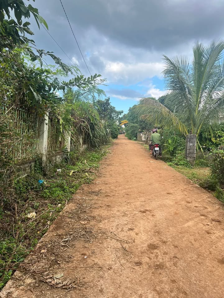 Đất nền xã Ea Tun, huyện Cư M'gar 500m² giá 450 triệu - Cơ hội đầu tư tuyệt vời!