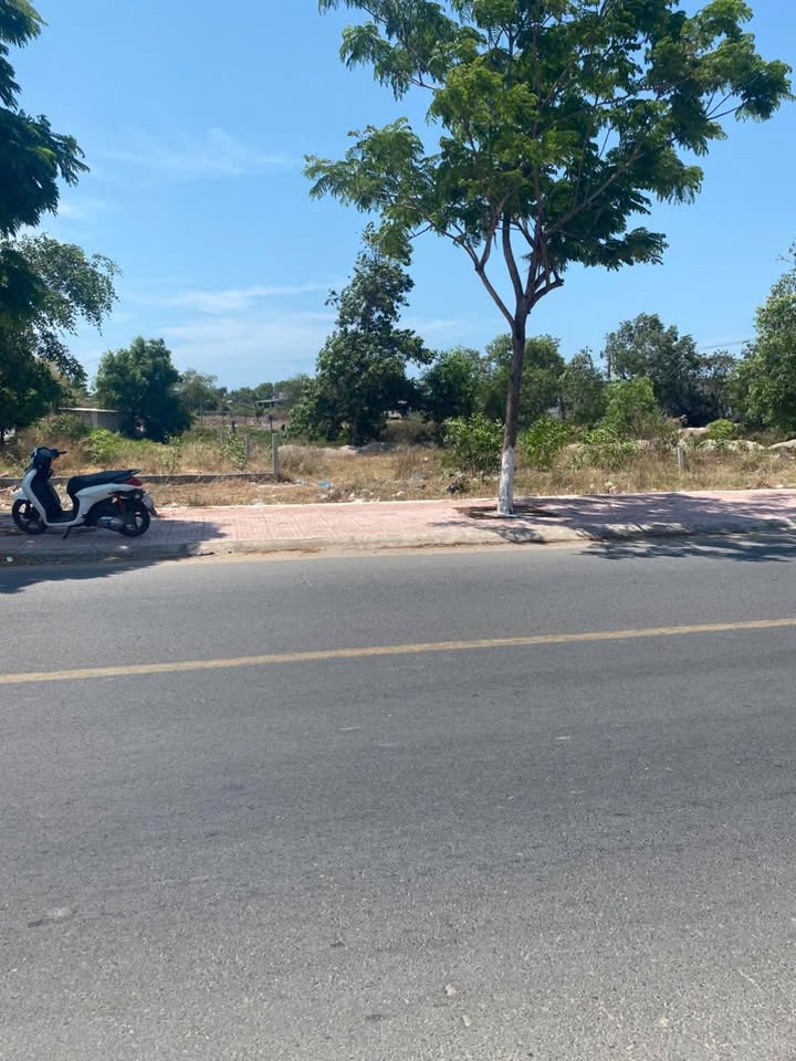 Mặt tiền Lê Minh Công, Phước Hội, Lâm Đồng 100m² giá 1.05 tỷ - Cơ hội đầu tư hấp dẫn!