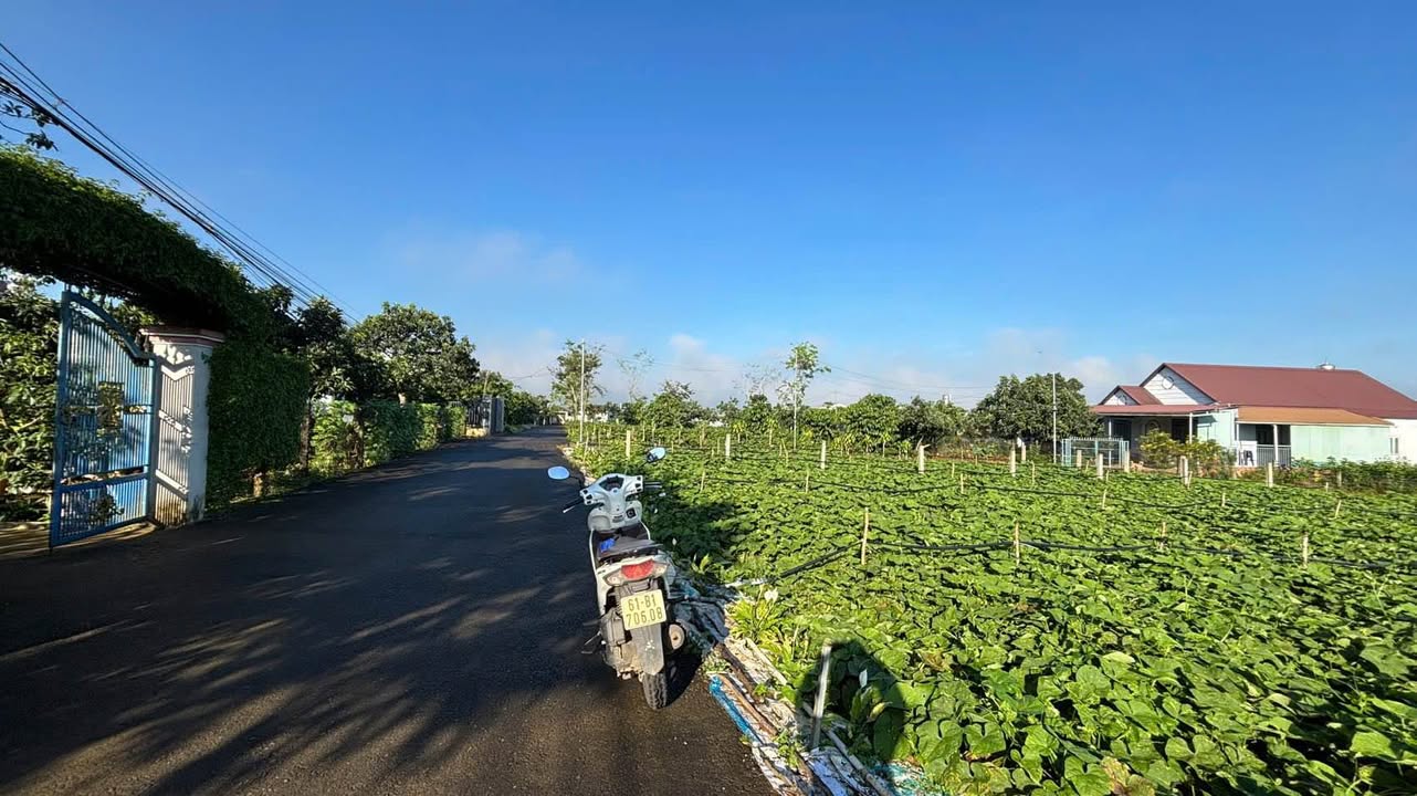 Đất hẻm 135 Nguyễn Tri Phương, Lộc Tiến, Bảo Lộc 144m² giá 1.9 tỷ - Đường nhựa ô tô thoải mái!