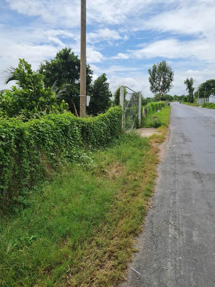 Đất nền mặt tiền đường 957, xã Vĩnh Hậu, An Giang 750m² - Đầu tư sinh lời hấp dẫn!