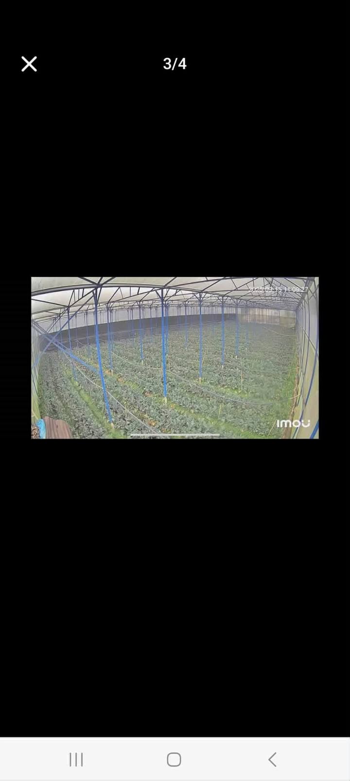 Lô đất nông nghiệp Đà Lạt 1567m² giá 4.7 tỷ - Đầu tư sinh lời ngay!