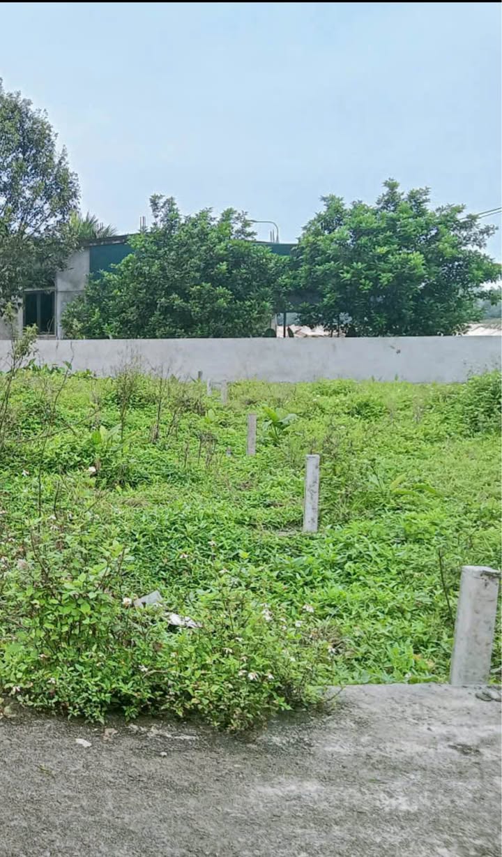 Đất nền Thạch Hưng, Vinh 171m² giá 1.6 tỷ - Vị trí đẹp gần ven sông!