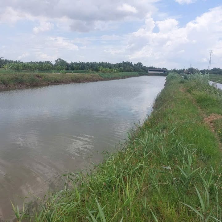 Đất nền An Thuận 14 công giá 1.54 tỷ - Gần chợ Giòng Ớt!