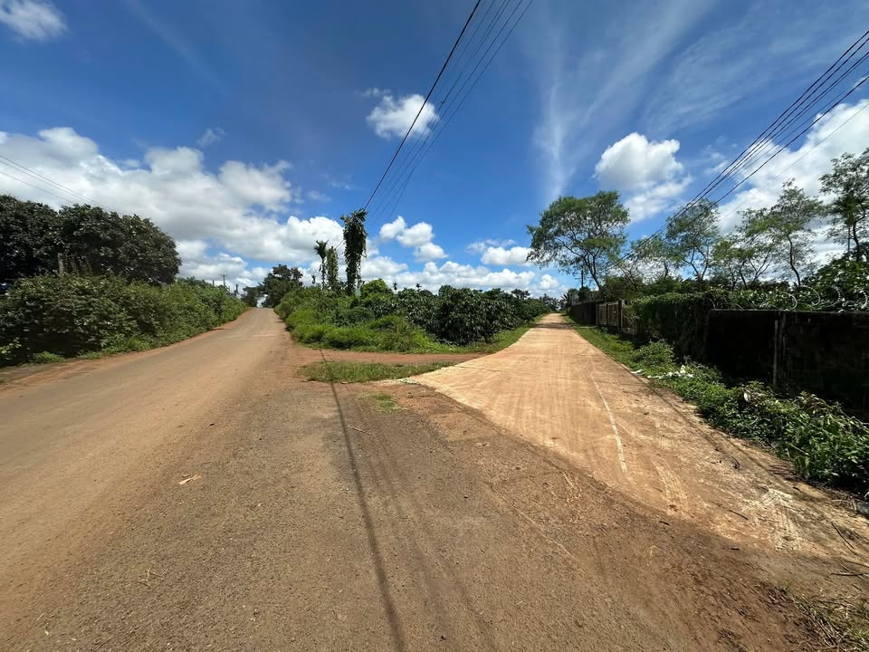 Đất thổ cư mặt tiền Lý Chính Thắng 250m² giá chỉ 400 triệu - Cơ hội đầu tư tuyệt vời!