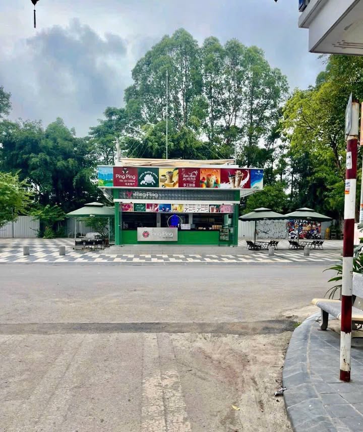 Đất nền đường Thân Công Tài, Bắc Giang 67.5m² - Tiềm năng đầu tư lớn!