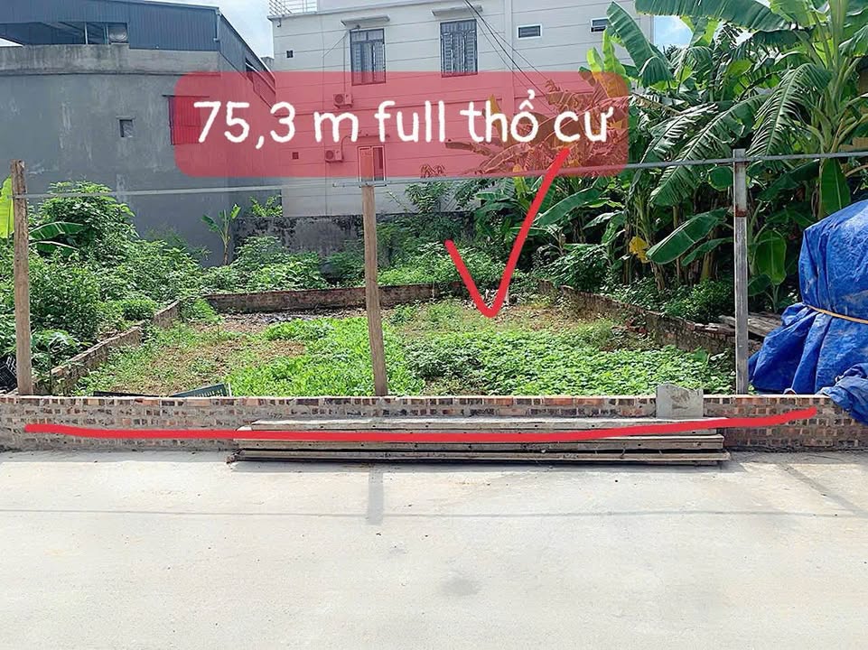 Đất nền Đồi Măng, Thanh Miếu, 75m² giá 3.6 tỷ - Vị trí đắc địa, sổ đỏ chính chủ!