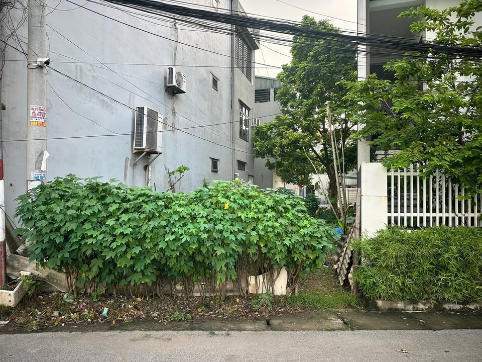 Đất nền Phường Thanh Miếu, Việt Trì 106m² - Mặt tiền 5m, sát hồ điều hòa!