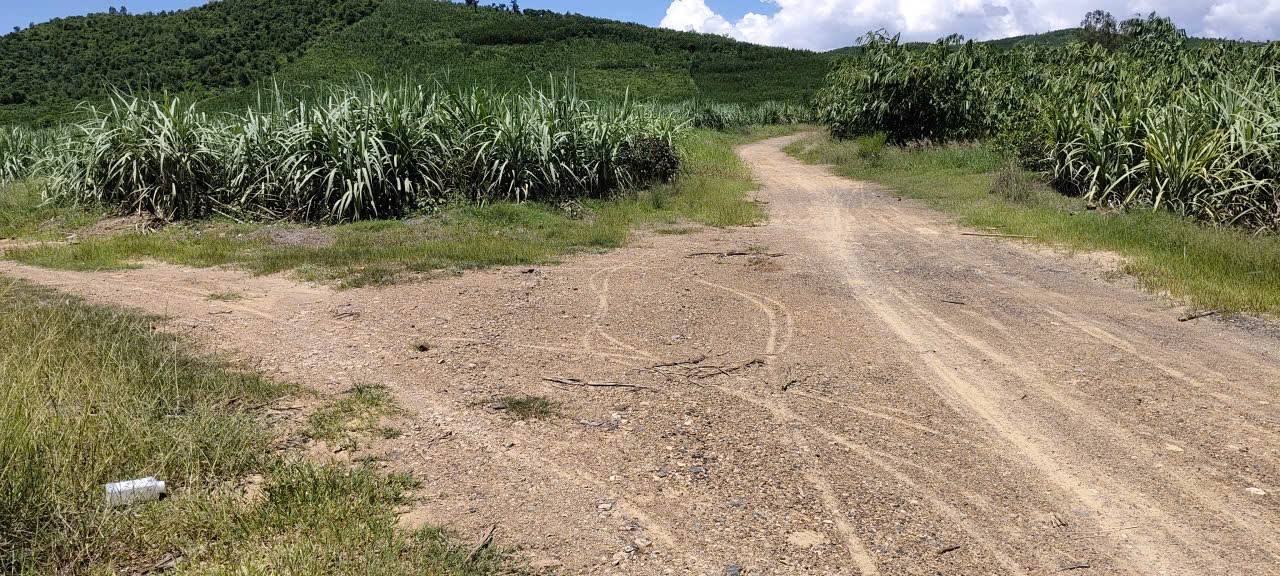 Đất rừng sản xuất 13ha tại Ninh Quang, Ninh Hòa - Giá 2.8 tỷ, cần bán gấp!