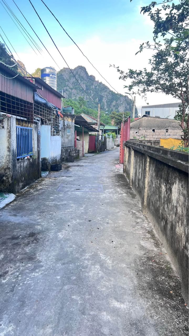 Đất nền Quang Hành Cẩm Phả 500m² - Ngõ ô tô vào tận nơi!