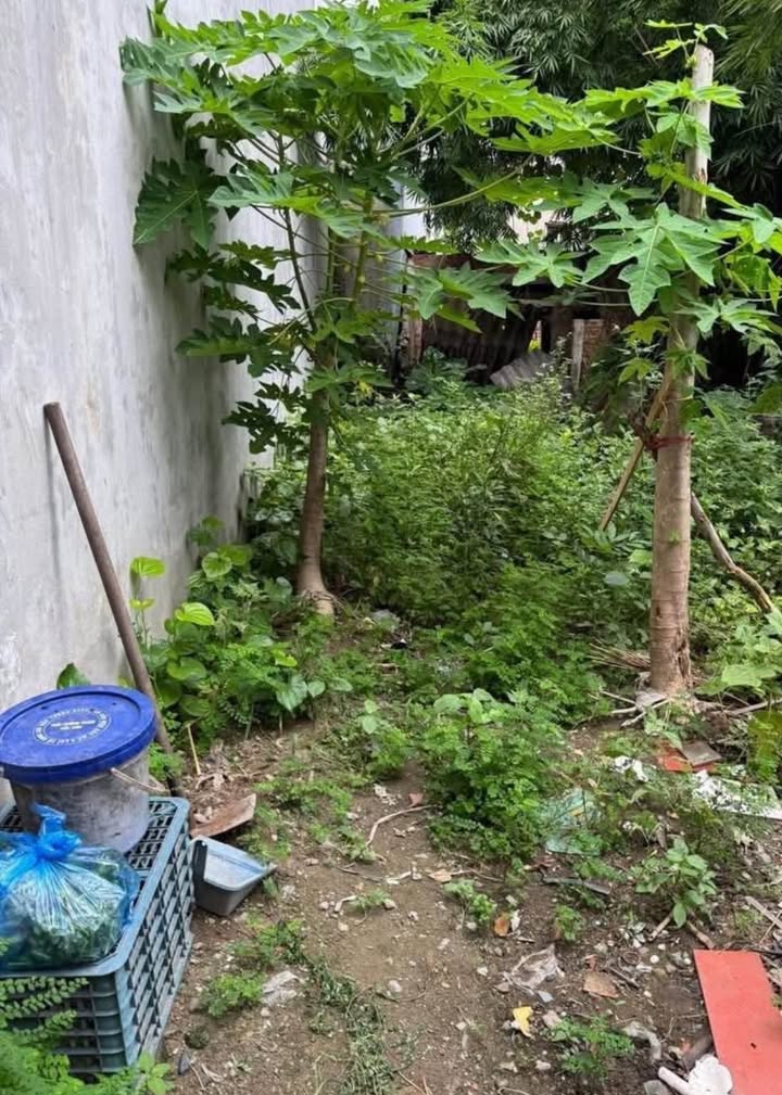 Đất nền Kiến An 60m² giá 1.6 tỷ - Đầu tư sinh lời ngay!