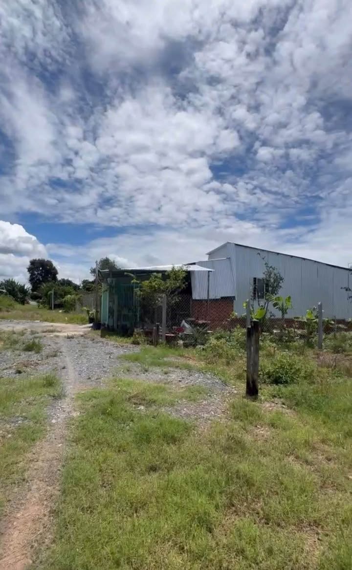 Đất thổ cư đường Nguyễn Văn Linh 80m² giá 390 triệu - Cơ hội vàng cho nhà đầu tư!