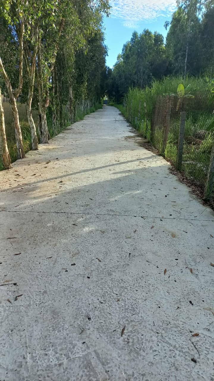 Đất nền Nguyễn Trung Ngạn, phường An Bình, Rạch Giá 180m² - Giá 600 triệu, đầu tư lý tưởng!