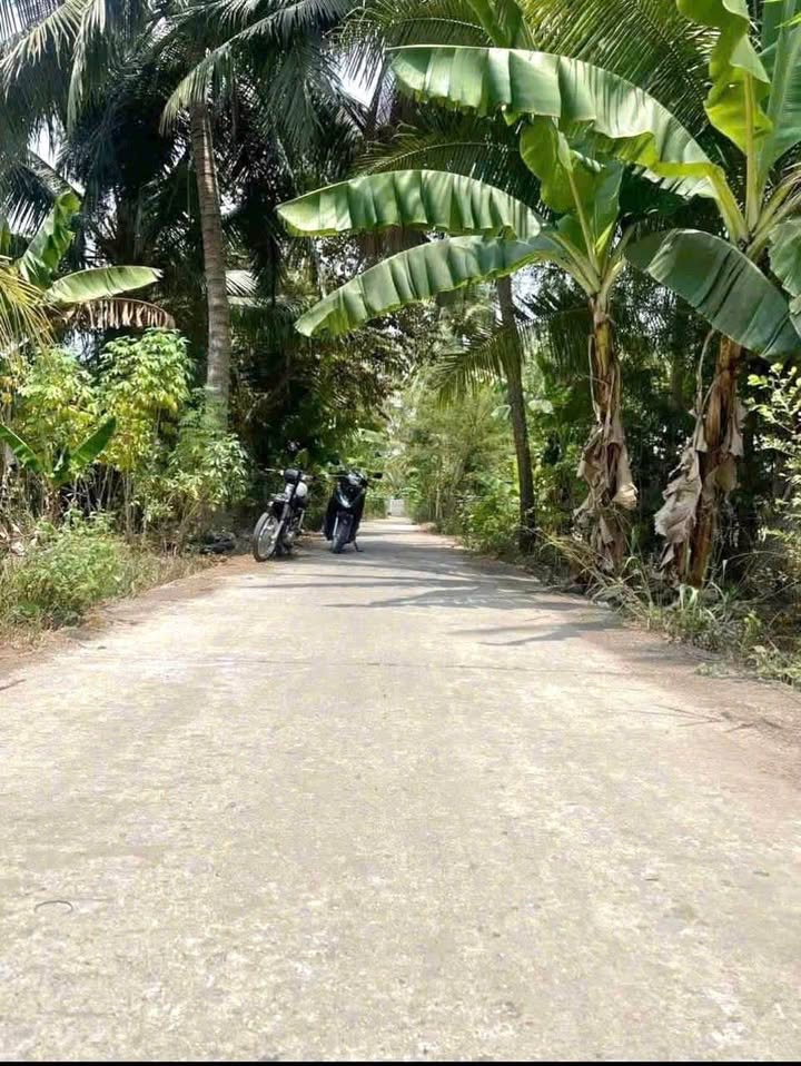 Đất nền Tài Văn, Trần Đề 320m² giá 250 triệu - Đầu tư sinh lời ngay!