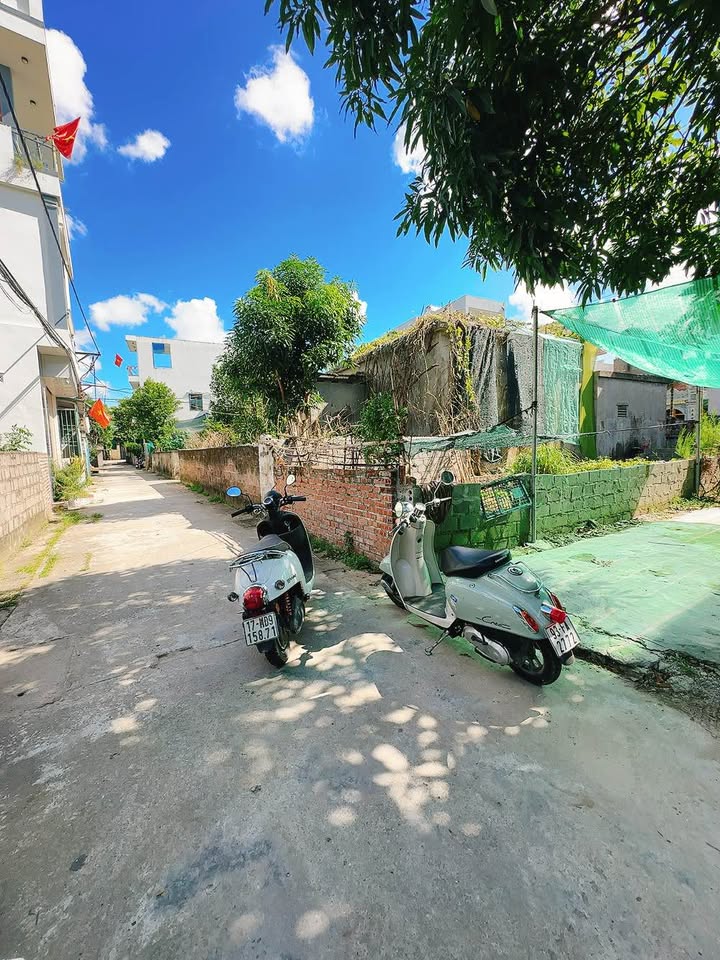 Lô đất đẹp phường Trần Hưng Đạo, Thái Bình 56m² giá 1.5 tỷ - Cơ hội đầu tư hấp dẫn!