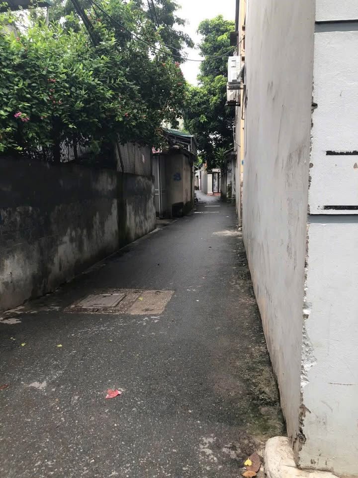 Đất thổ cư Thượng Thanh 50m² giá thỏa thuận - Chính chủ bán nhanh!