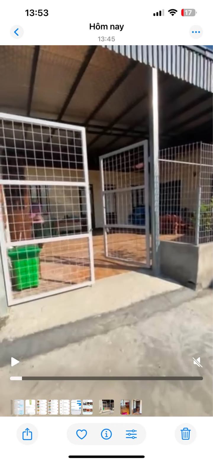 Nhà trọ cho thuê tại đường Trưởng Lập Lễ, Thủy Nguyên - Nhà mới, giá chỉ từ 2 triệu!