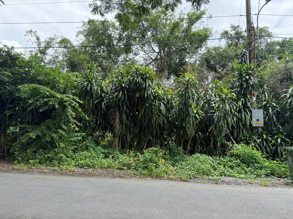 Đất mặt tiền đường xã Phước Hiệp, Củ Chi 1155m² giá 8,5 tỷ - Đầu tư sinh lời ngay!