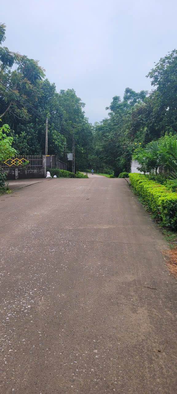 Lô đất Tân Cương Thái Nguyên 220m² giá chỉ vài trăm triệu - Tiềm năng kinh doanh lớn!