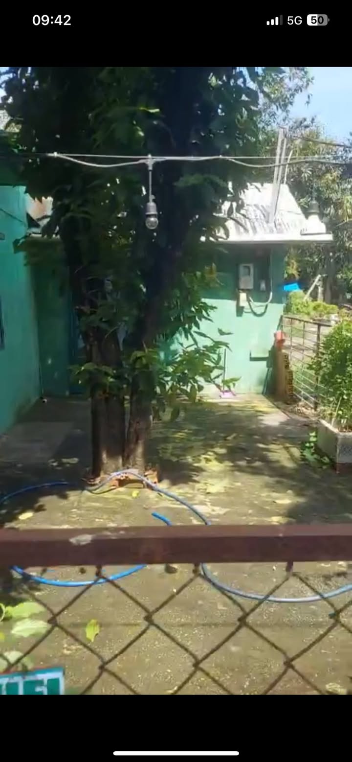 Nhà cho thuê mặt tiền đường Quách Điêu, 120m² - Sân rộng thoáng mát!