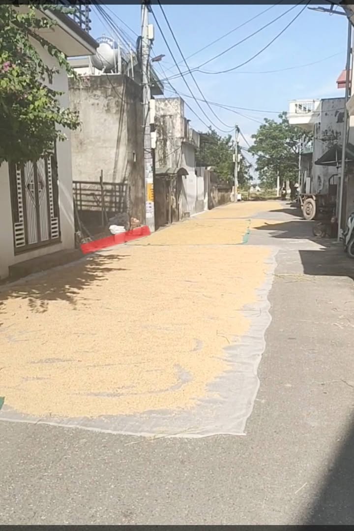 Đất thổ cư 70.6m² xã Vân Đình giá 1 tỷ - Lô đất chính chủ, pháp lý rõ ràng!