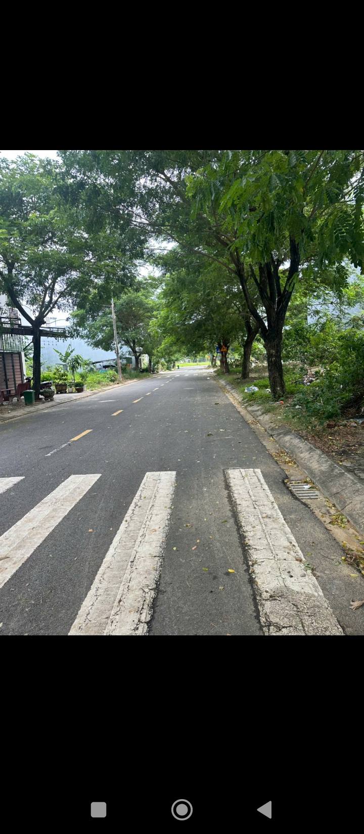 Đất nền Cẩm Nam 10, Hòa Xuân 100m² giá chỉ 4.39 tỷ - Đầu tư lý tưởng!