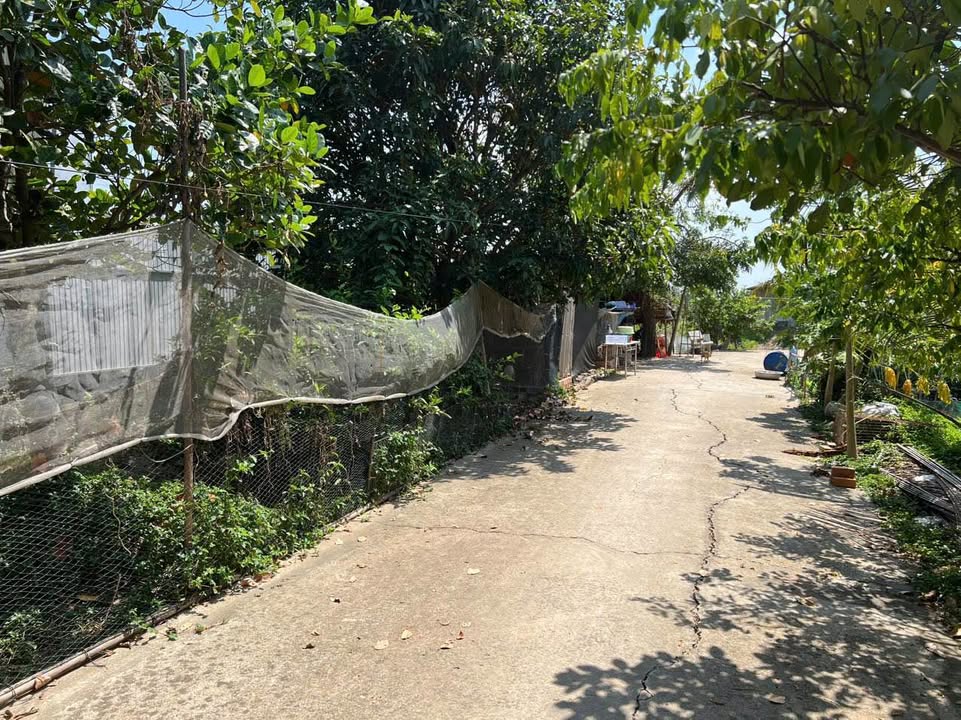 Đất Ruộng Bình Đức Long Xuyên 10.500m² giá chỉ 8 tỷ - Có thể chuyển thổ cư!