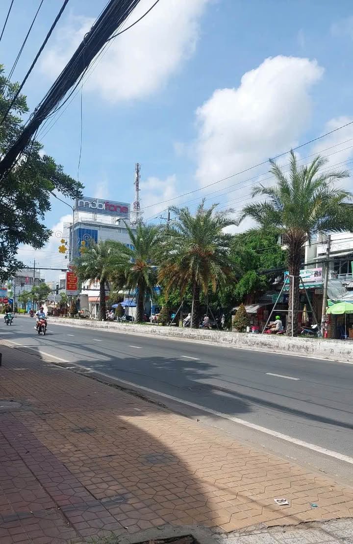 Đất mặt tiền đường Trần Hưng Đạo, phường Mỹ Thới, 2300m² - Vị trí đẹp kinh doanh