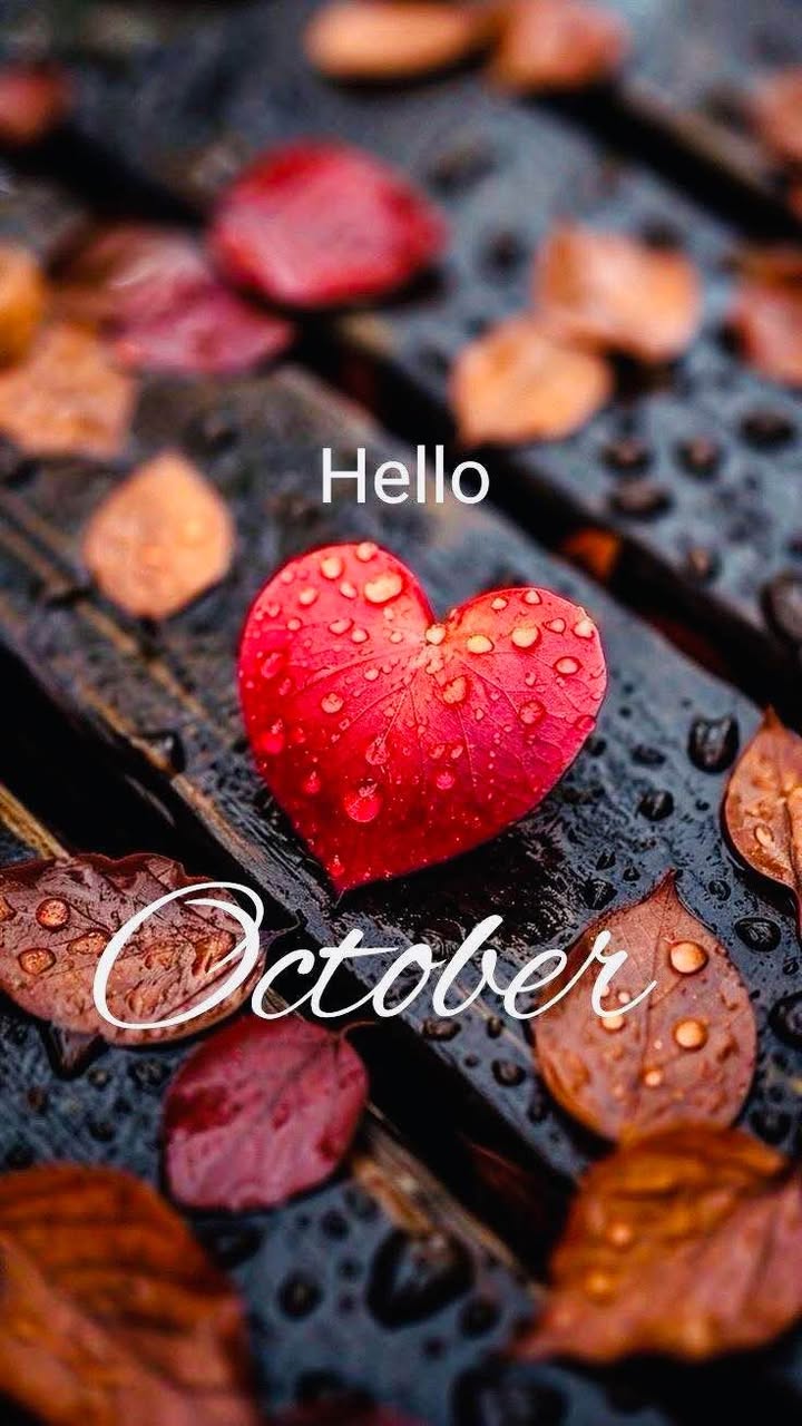 Đất nền phường Nhơn Bình, Quy Nhơn 90m² giá 2.49 tỷ - Sổ đỏ chính chủ