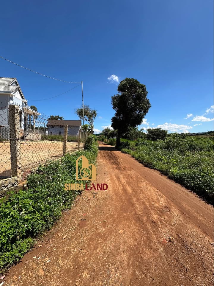 Đất nền Phú Hội, Đức Trọng 200m² giá 1.85 tỷ - Tiềm năng đầu tư cao!