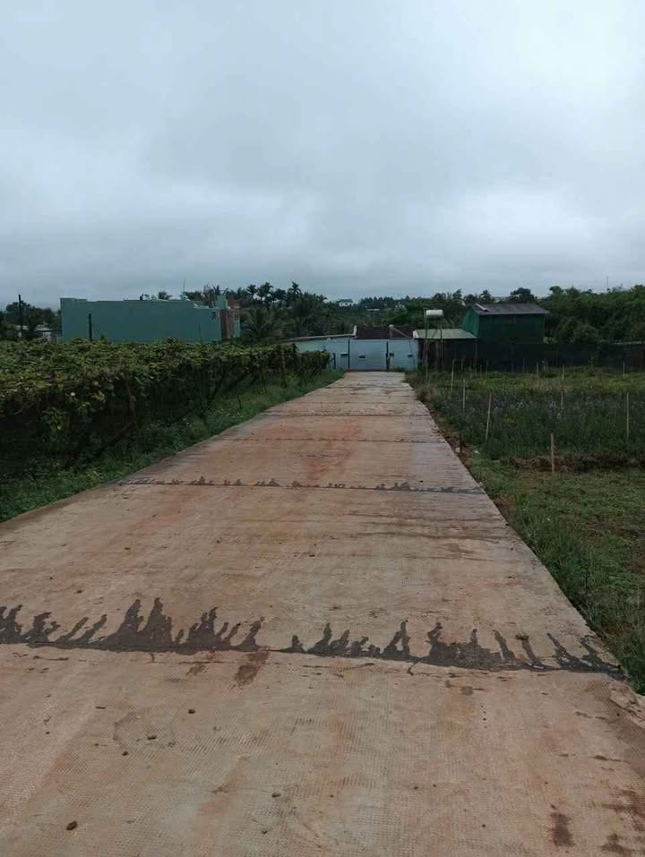 Đất Hẻm 52 An Dương Vương Pleiku 450m² giá 2 tỷ - Vị trí trung tâm, đầu tư lý tưởng!