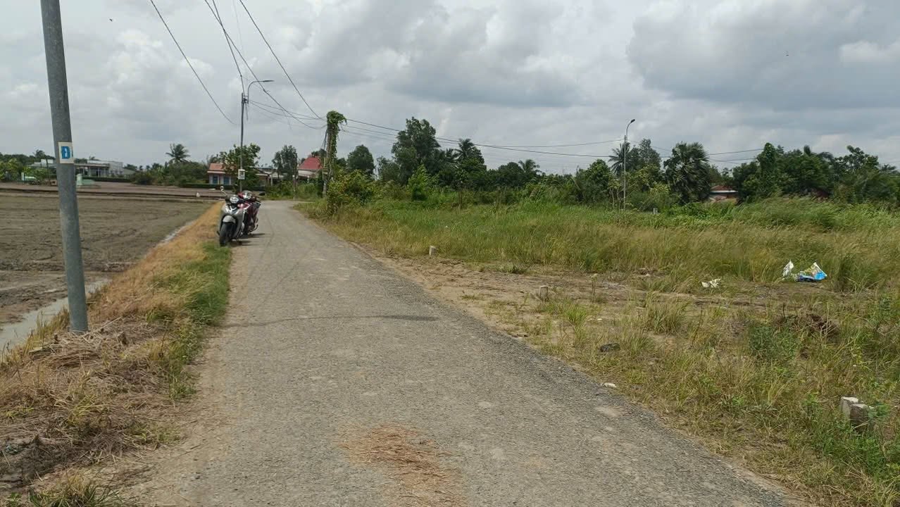 Đất nền mặt tiền đường Liên Ấp 2,4, Long Sơn, Cần Đước 253m² - Giá chỉ 1.25 tỷ, bớt lộc mạnh tay!