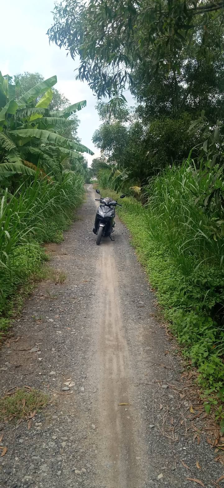 Đất vườn 5335m² tại Lương Hòa, Bến Lức, Long An - Giá chỉ 7.5 tỷ!