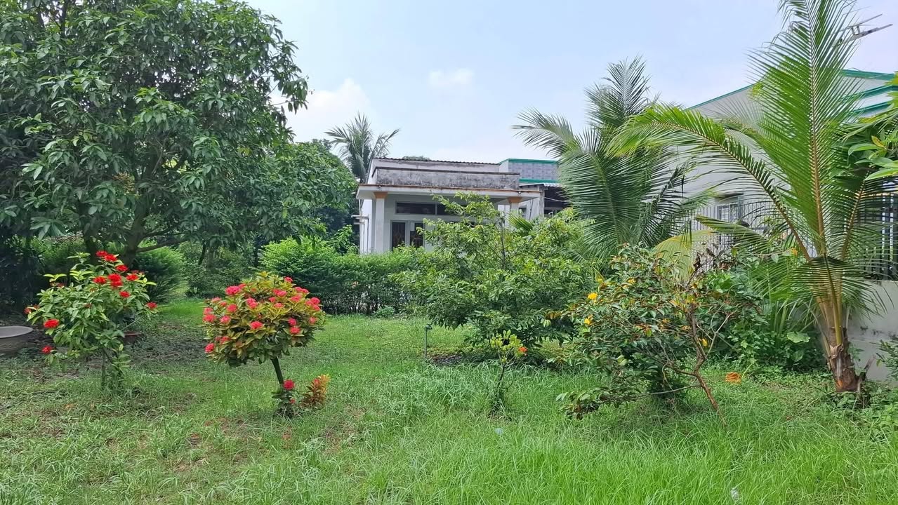 Nhà vườn cho thuê tại xã Tân Nhựt, Bình Chánh 1.227m² giá 5 triệu - Không gian rộng rãi lý tưởng!