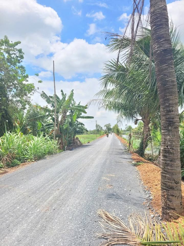 Kho xưởng 1.000m² tại Tân Nhựt, Bình Chánh - Giá chỉ 6.5 tỷ!