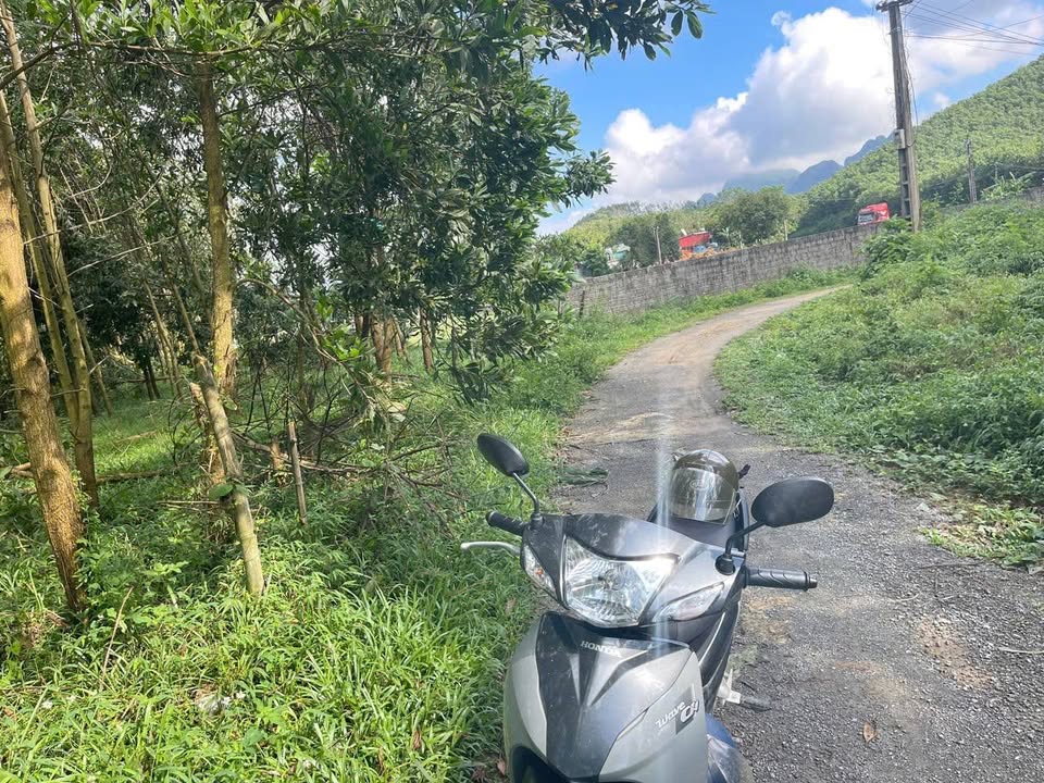 Đất Farm An Lạc Lạc Thủy 5787m² giá 2.314 tỷ - Đầu tư sinh lời ngay!