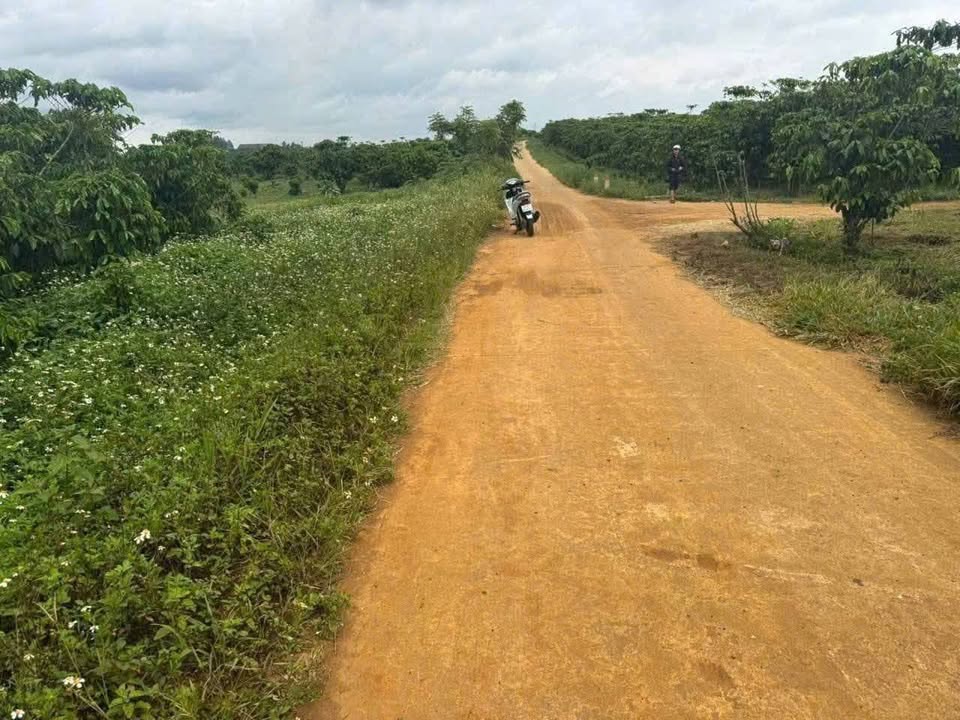 Farm đẹp mặt tiền đường Văn Cao, phường 1 Bảo Lộc 5400m² - Đầu tư sinh lời ngay!