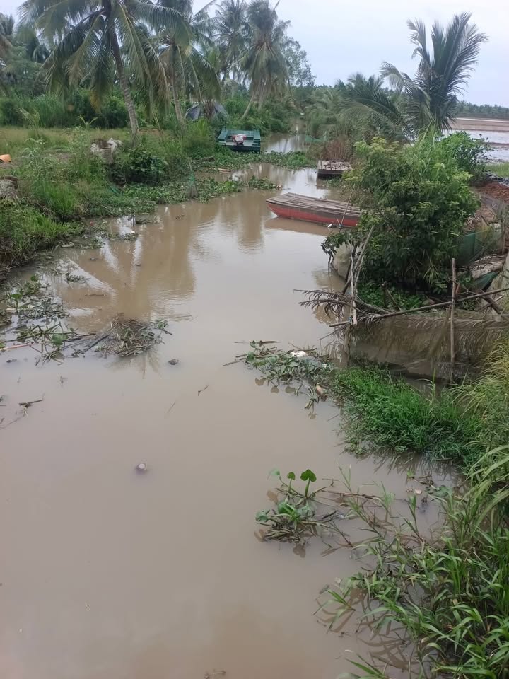 Đất ruộng 20.000m² tại ấp 2 Phong Thạnh, Cầu Kè - Giá chỉ 1.44 tỷ VND!