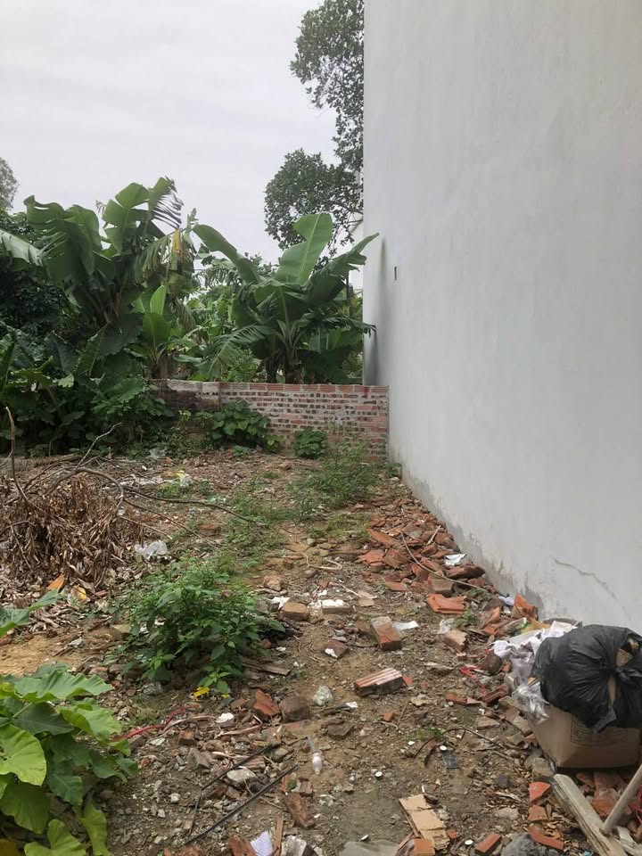 Đất thổ cư thôn Lạc Chính - Trần Lãm 76m² giá chỉ 1.2 tỷ - Cơ hội đầu tư tuyệt vời!