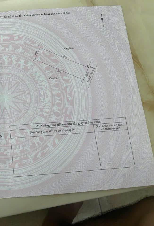 Nhà 1,5 Tầng Lạch Tray 60m² chỉ 2.85 tỷ - Về ở ngay!