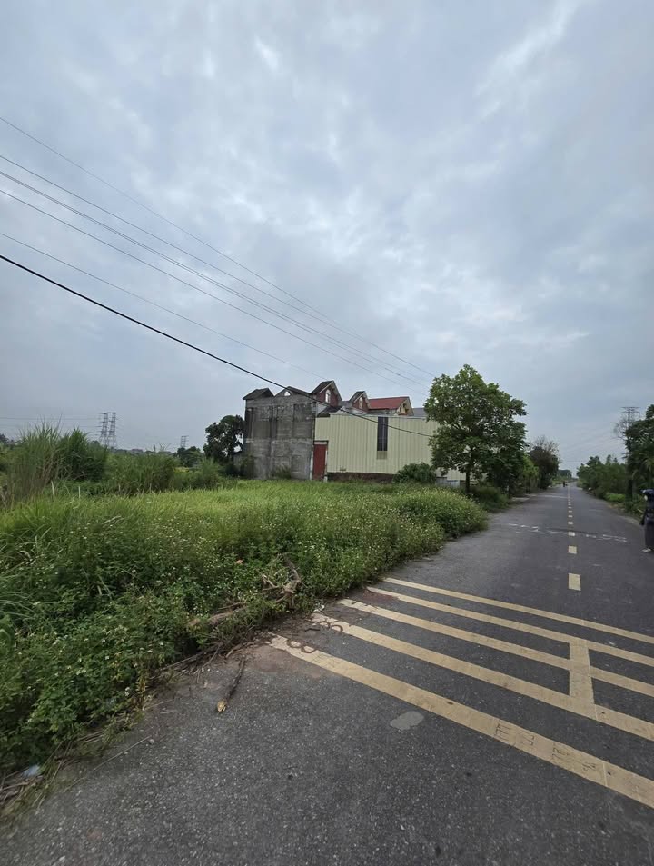 Đất vị trí đẹp Thôn An Mai, xã Thống Nhất, huyện Hưng Hà - 100m² giá 1.2 tỷ - Đầu tư sinh lời ngay!